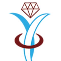 Southern States Gymnastics Inc logo